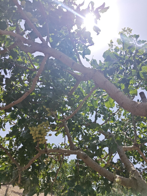 IMG20260624124711